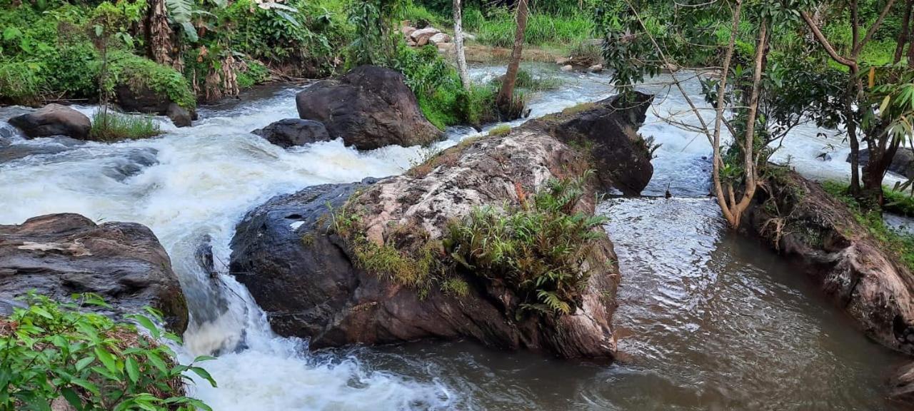 Linn View Home Stay Munnar Værelse billede