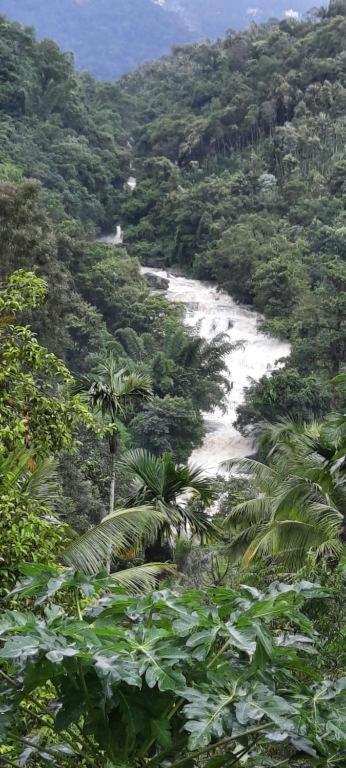 Linn View Home Stay Munnar Eksteriør billede